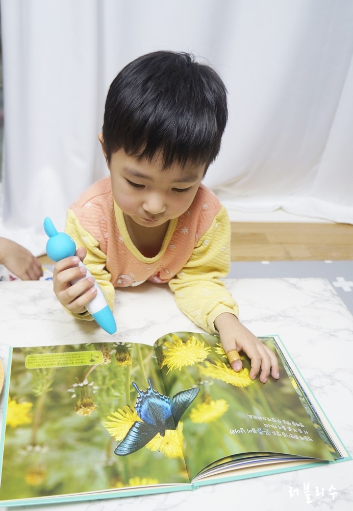 자연관찰책으로 체험학습 해봐요 -민들레