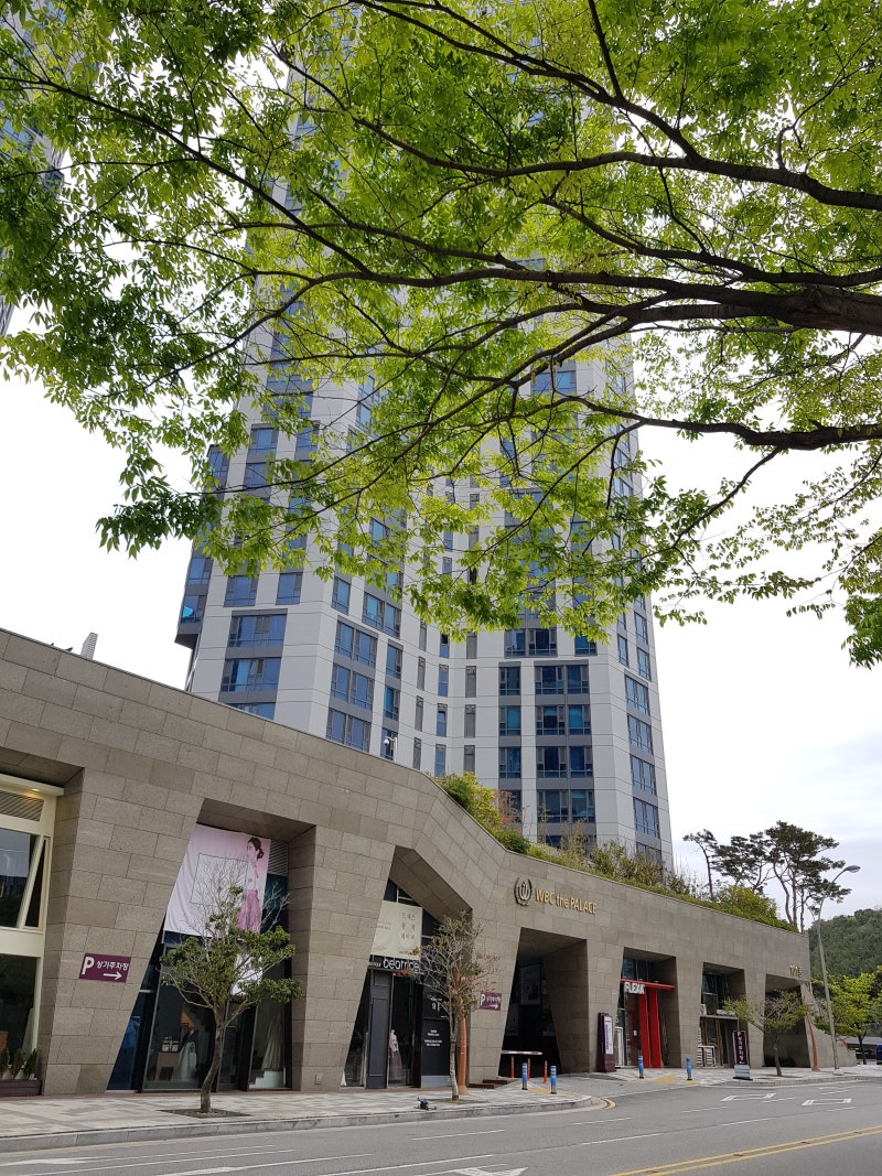 부산 다이어트 바이오포톤 체온업 다이어트 후기 5