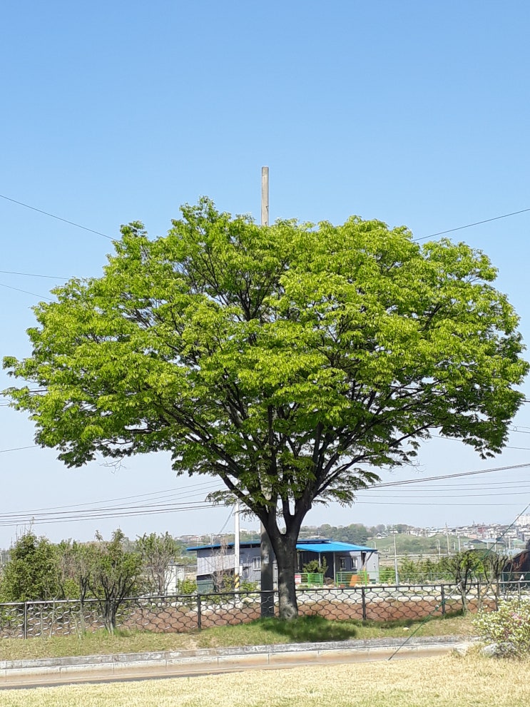  은신성공