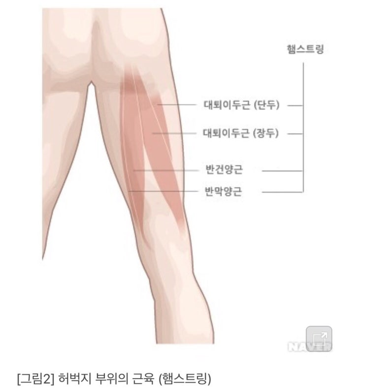  화요일 목요일은 필라테스
