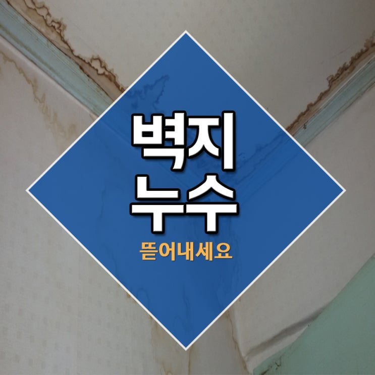  벽지누수 뜯어내세요
