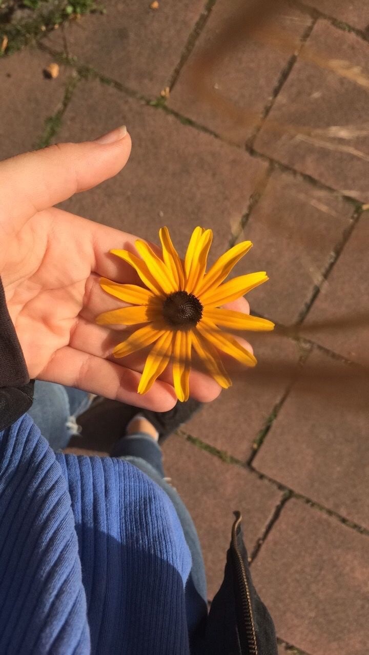 아이폰배경화면 34 텀블러 이미지 : 네이버 블로그, image size:720x1278