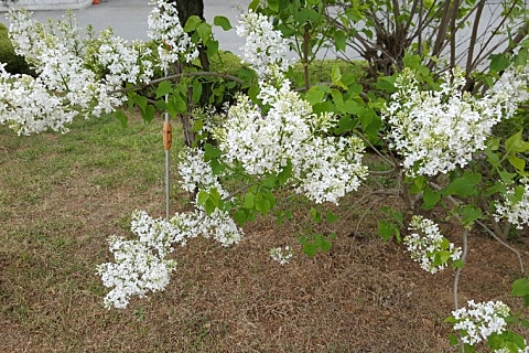 하늘농산(주) 이미지