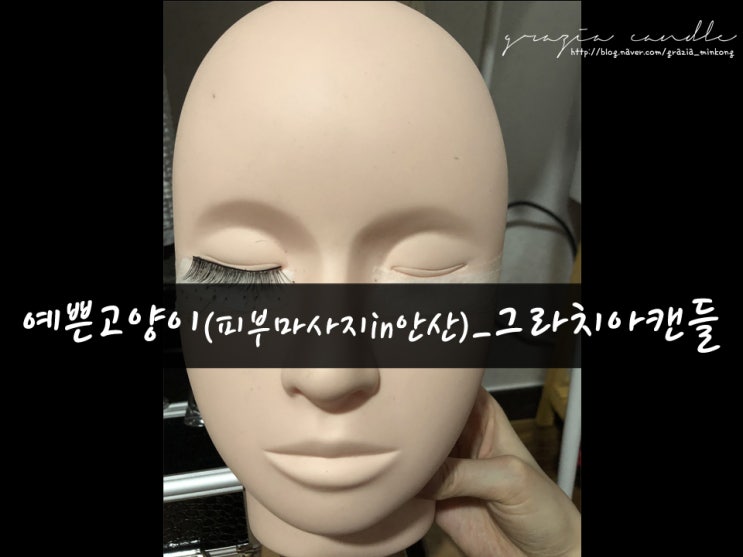  [일상04탄] 고잔동피부관리 예쁜고양이에서 물광피부 변신