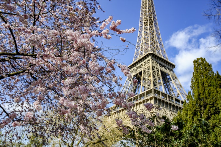 파리 여행 : 따스한 봄날, 파리 날씨