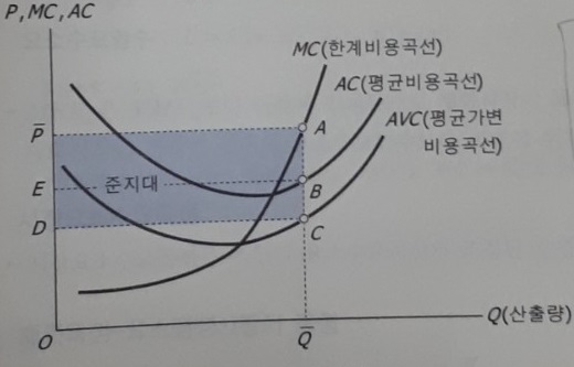  이윤, 생산자잉여, 경제적지대, 준지대