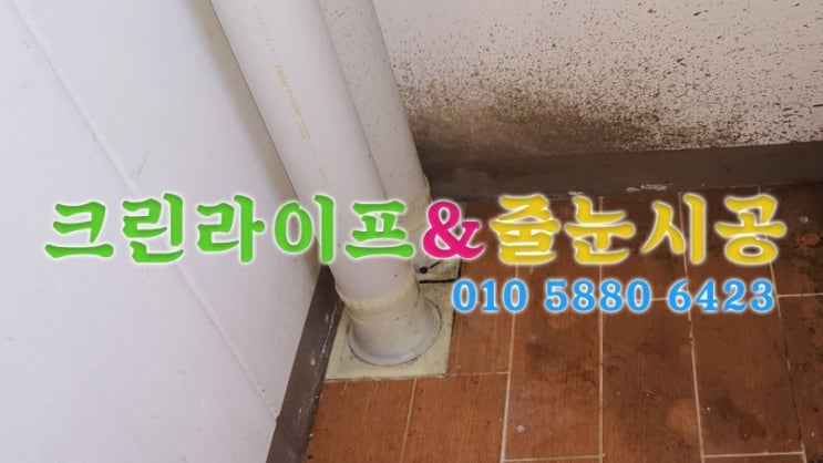  크린라이프&줄눈시공전문업체/양산대방노블랜드1차이사청소[양산이사청소]