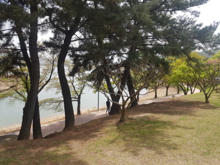  경주여행  보문단지