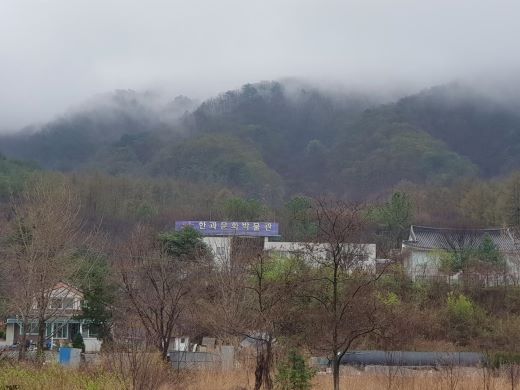  비오는 주말..