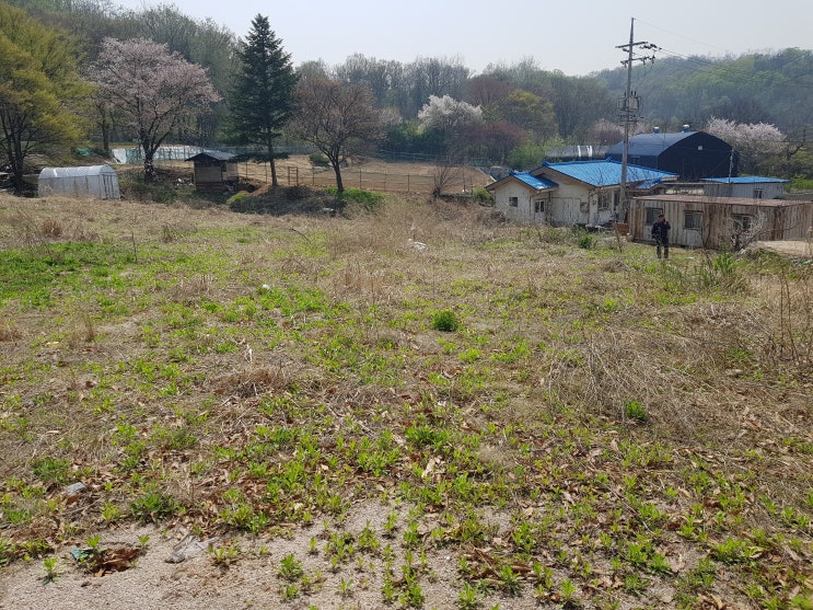  고양시오금동토지매매(오금동 전원주택지) 삼송지구단독택지부근 오금동큰골마을토지매매