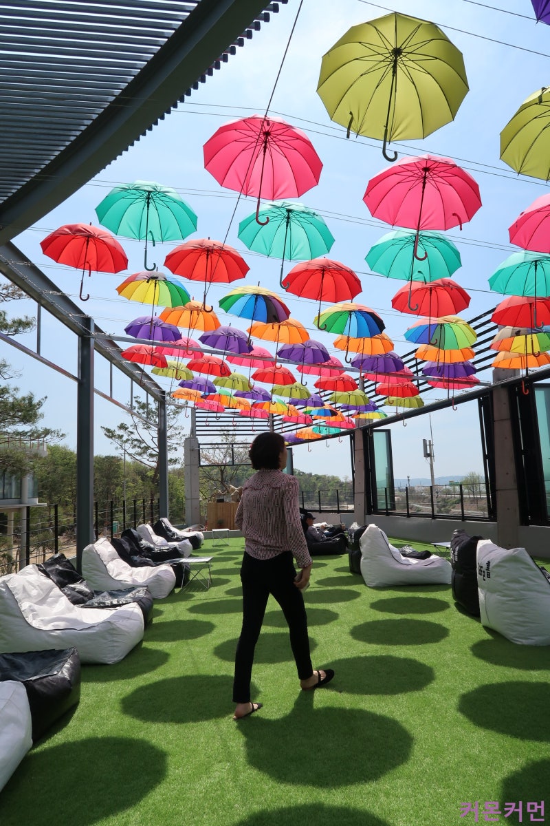 파주 카페, 파주 데이트 - 카페서 (우산카페,쨍하게잘나옴) : 네이버 블로그