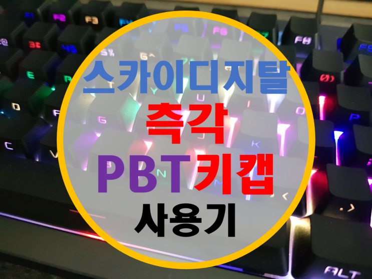 스카이디지탈 측각 PBT 키캡 사용기 스카이디지탈 측각 PBT 키캡 사용기