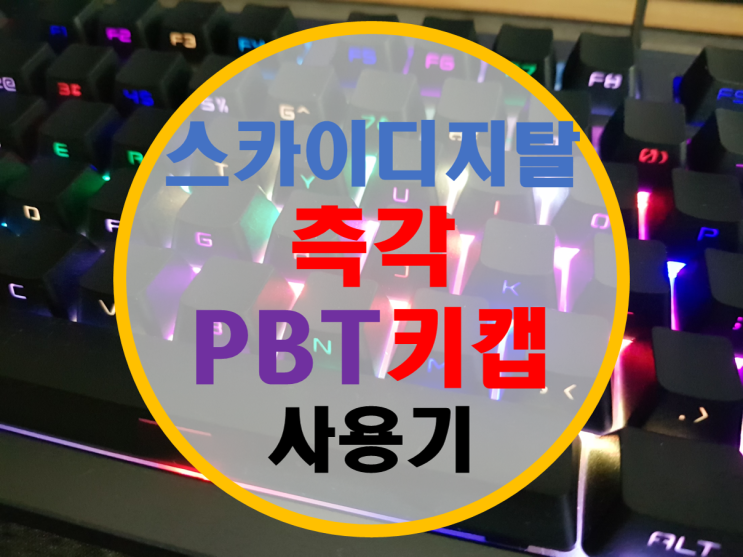 스카이디지탈 측각 PBT 키캡 사용기