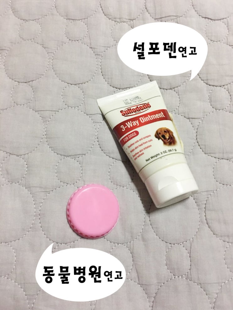  강아지 피부연고