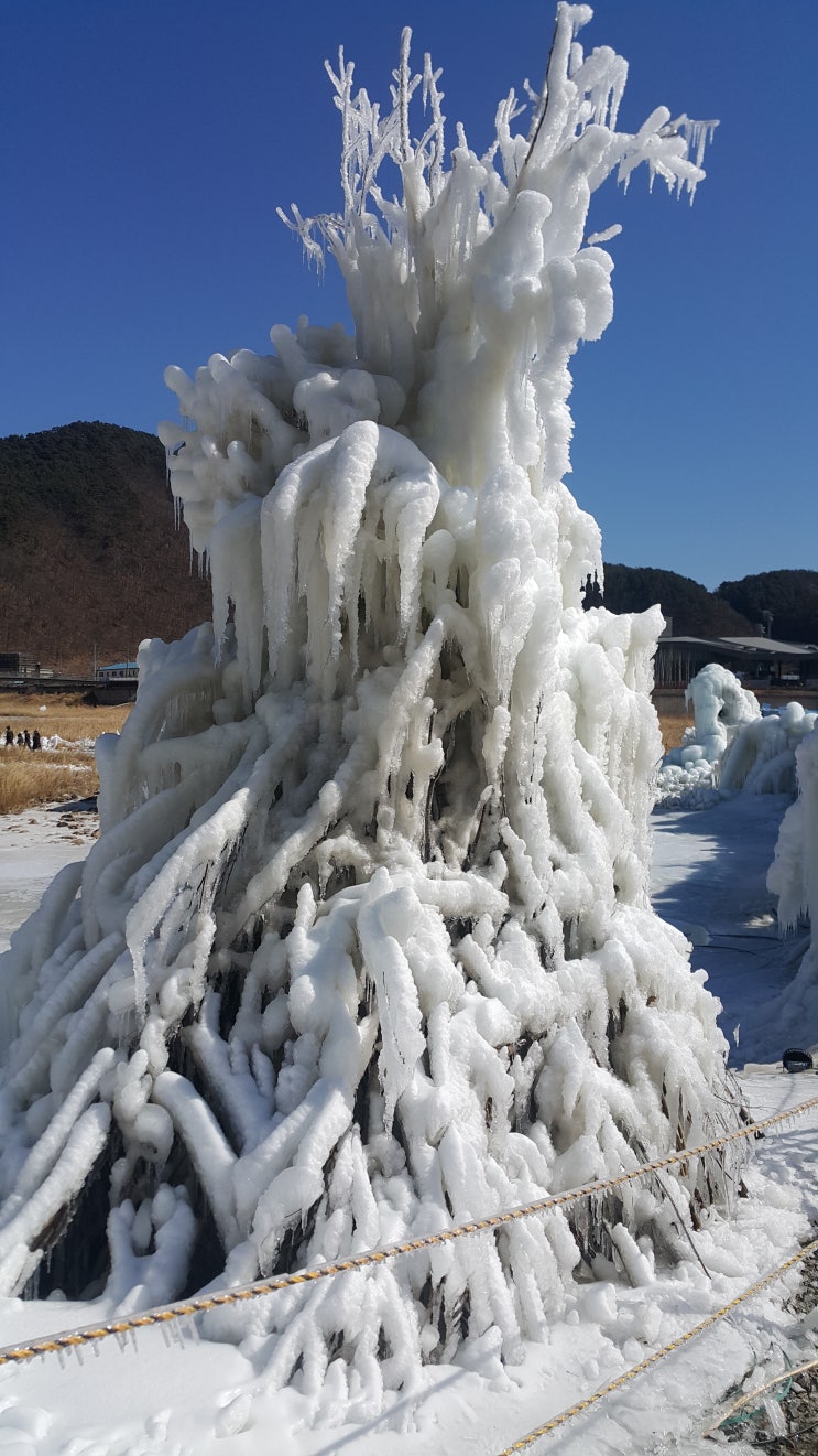 개매너! 주인 때문에 강아지가 욕먹는다.