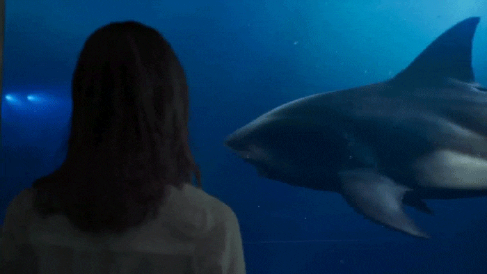 영화 : 딥블루 씨 2 ( Deep Blue Sea 2 , 2018 )