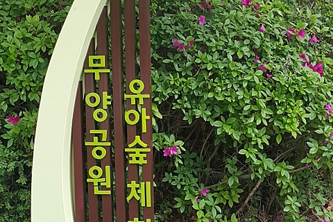 무양공원 유아숲체험원 이미지
