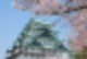 일본 인구 밀도,일본 인구 구조,일본 인구 분포,일본 인구 추이,일본 인구 수,일본 인구 변화,일본 인구 순위,일본 인구 2018,일본 인구 감소,일본 인구 통계,