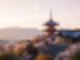 일본 인구 밀도,일본 인구 구조,일본 인구 분포,일본 인구 추이,일본 인구 수,일본 인구 변화,일본 인구 순위,일본 인구 2018,일본 인구 감소,일본 인구 통계,