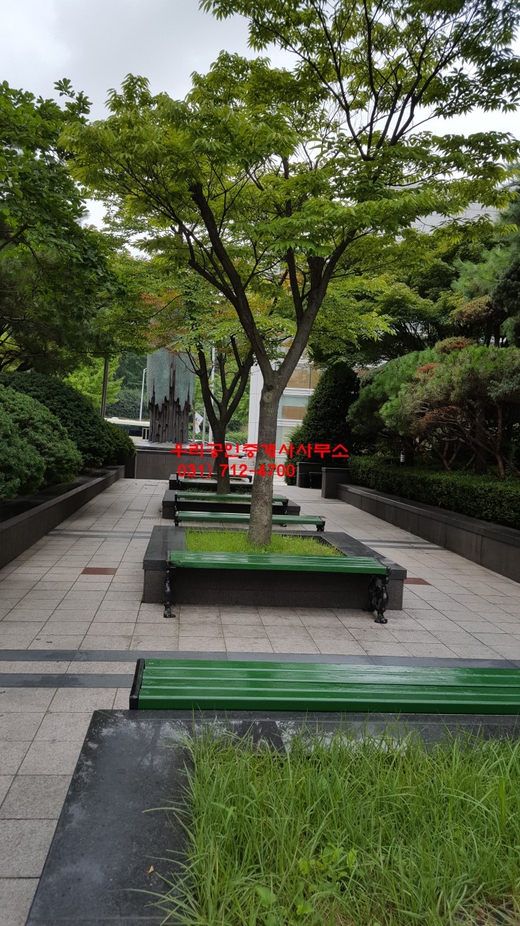  분당 금곡동 코오롱트리폴리스 51평 보증금5000 월135 정상,전망좋음 우리공인중개사 712-4700
