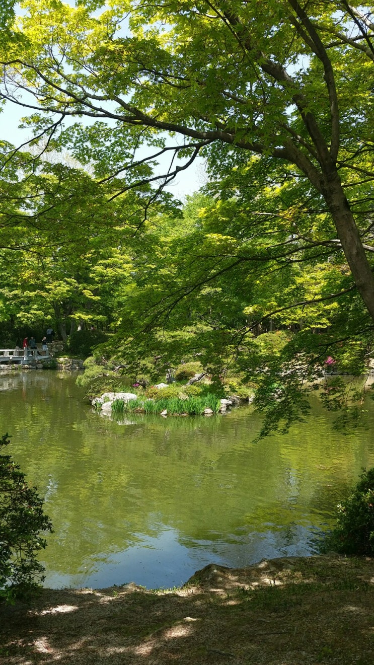  경주 예뻐...경주 좋아 2