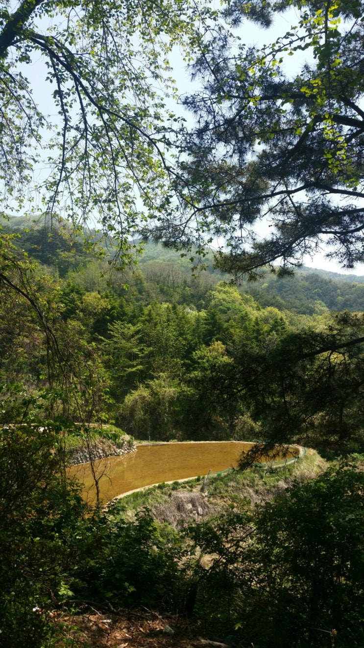  경주 예뻐...경주 좋아 1