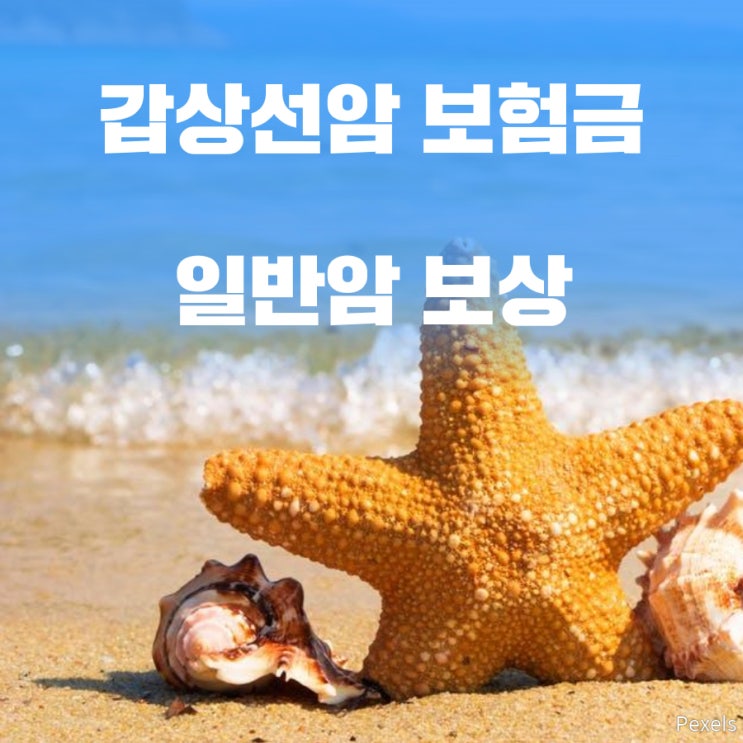  갑상선암진단비 일반암으로도 보험금지급 가능합니다.!!