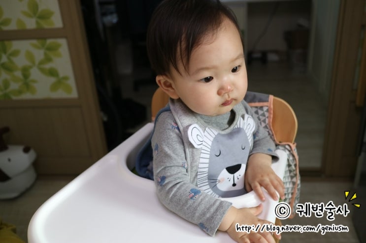  정주리이유식 팜투베이비 나도 한번 먹여보자!