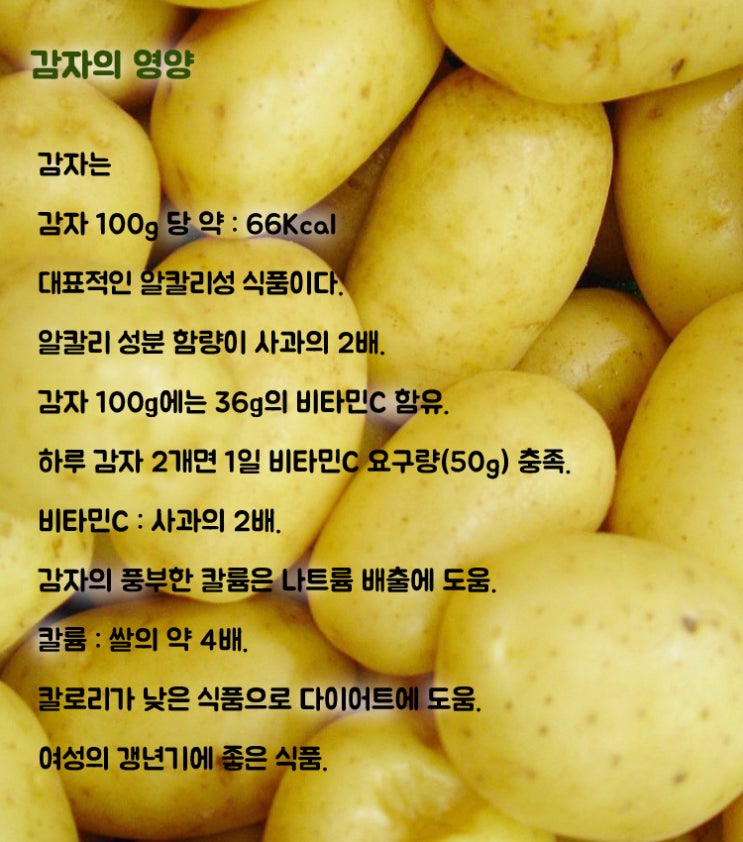  알칼리성 식품 대표주자 감자