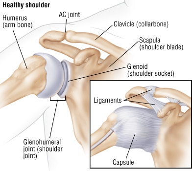 SLAP (Superior Labrum from Anterior to Posterior)-관절와순파열/슬랩병변/ 장지은트레이너 :  네이버 블로그