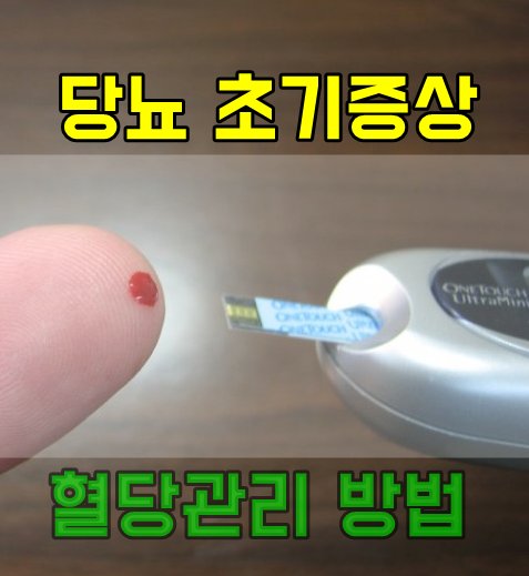  당뇨 초기증상 삼성제약 헬스케어 당파워3 30일 무료체험 안내!
