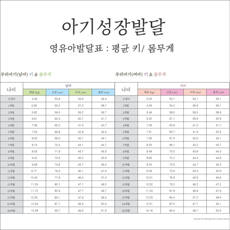 36개월 아기 검진 (아기 평균키)