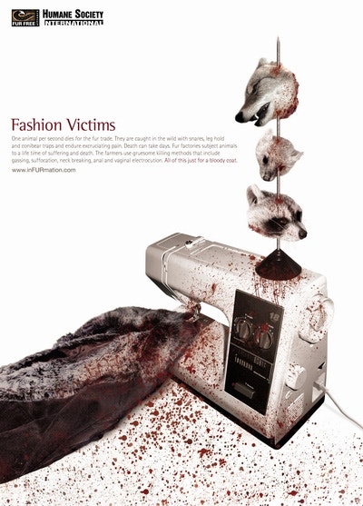 동물 학대 포스터 아이디어