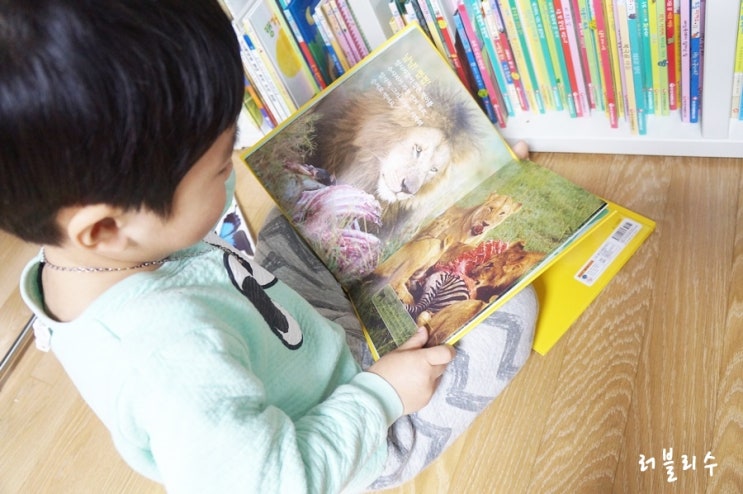 4세전집추천 토끼펜과 함께하는 생생자연관찰