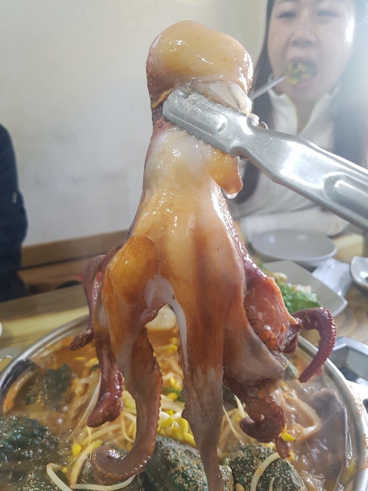 함덕에서 해물탕맛집을 찾는다면 함덕맛집 청진동해물탕 추천~ 함덕에서 해물탕맛집을 찾는다면 함덕맛집 청진동해물탕 추천~