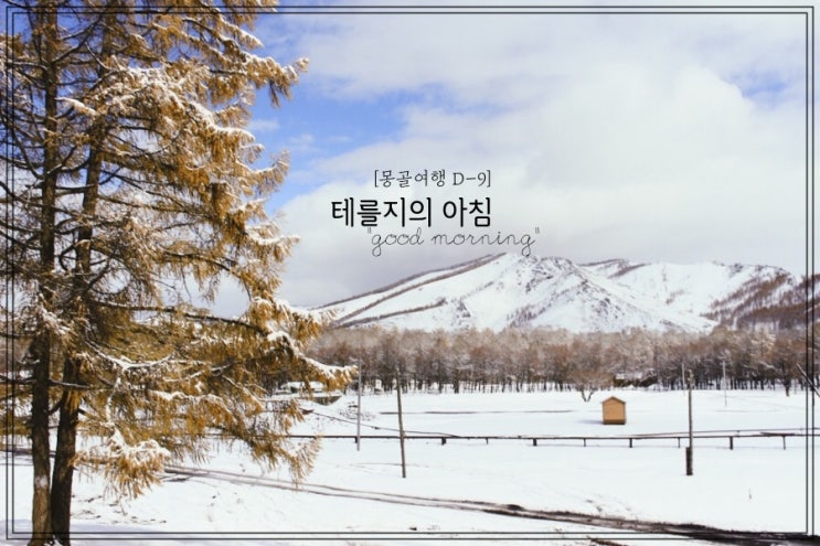  몽골여행 투어 일정  D9 - 테를지의 아침