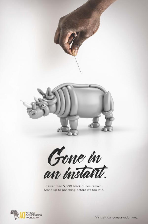 동물 학대 포스터 아이디어