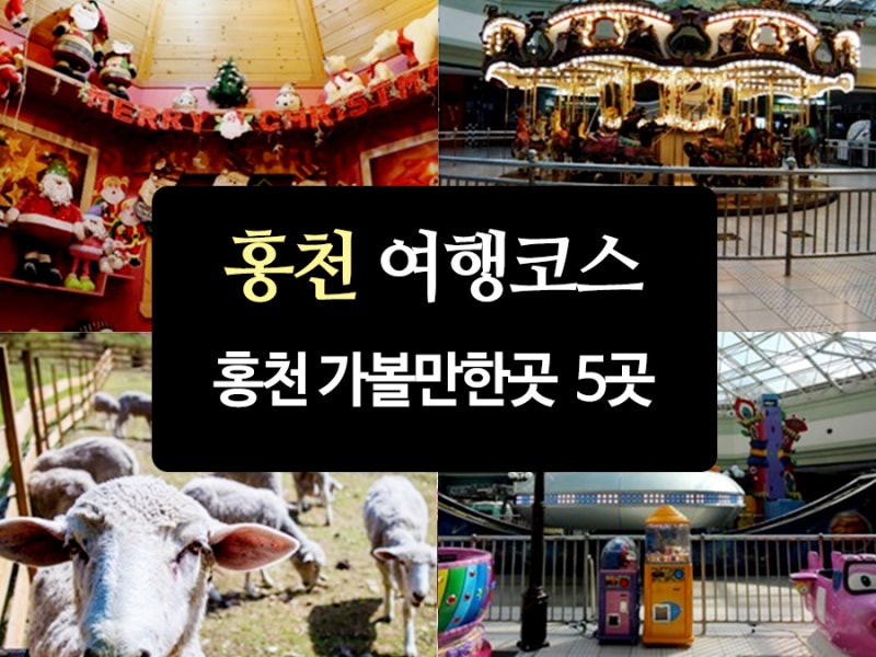 강원도 홍천의 볼거리 홍천강배바위카누마을 놀이터 최고