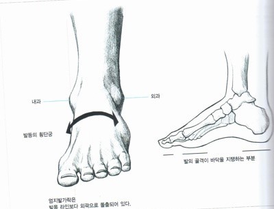  [자세교정 기능성 건강신발] 척추부정렬로 잘못된 자세교정 개선 치료 신발_24hrs