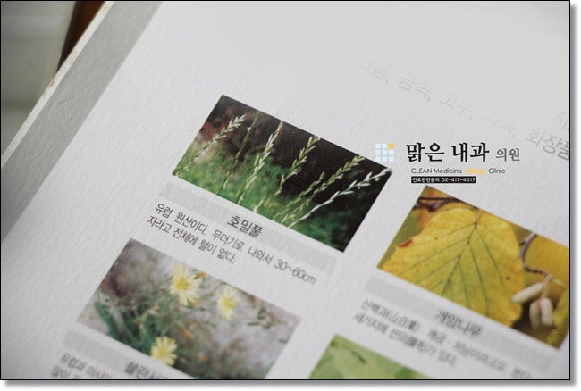 기관지 천식, 잠실병원에서 치료하세요. 12