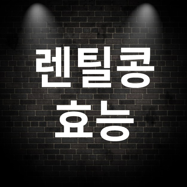  렌틸콩 효능