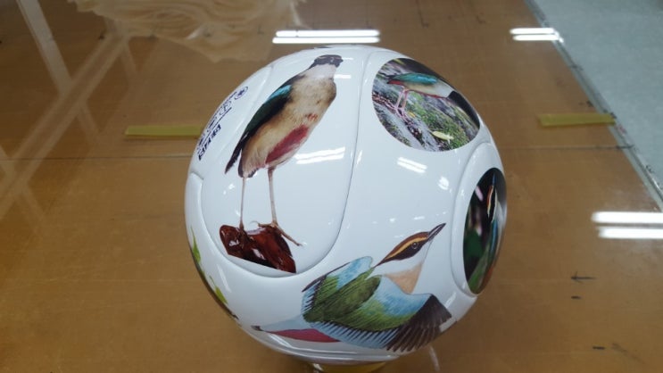  국내 축구공 디자인 및 제작. 내팀만의 축구공 만들기. 마케팅 홍보용축구공, 선물용축구공 제작 납품 후기.