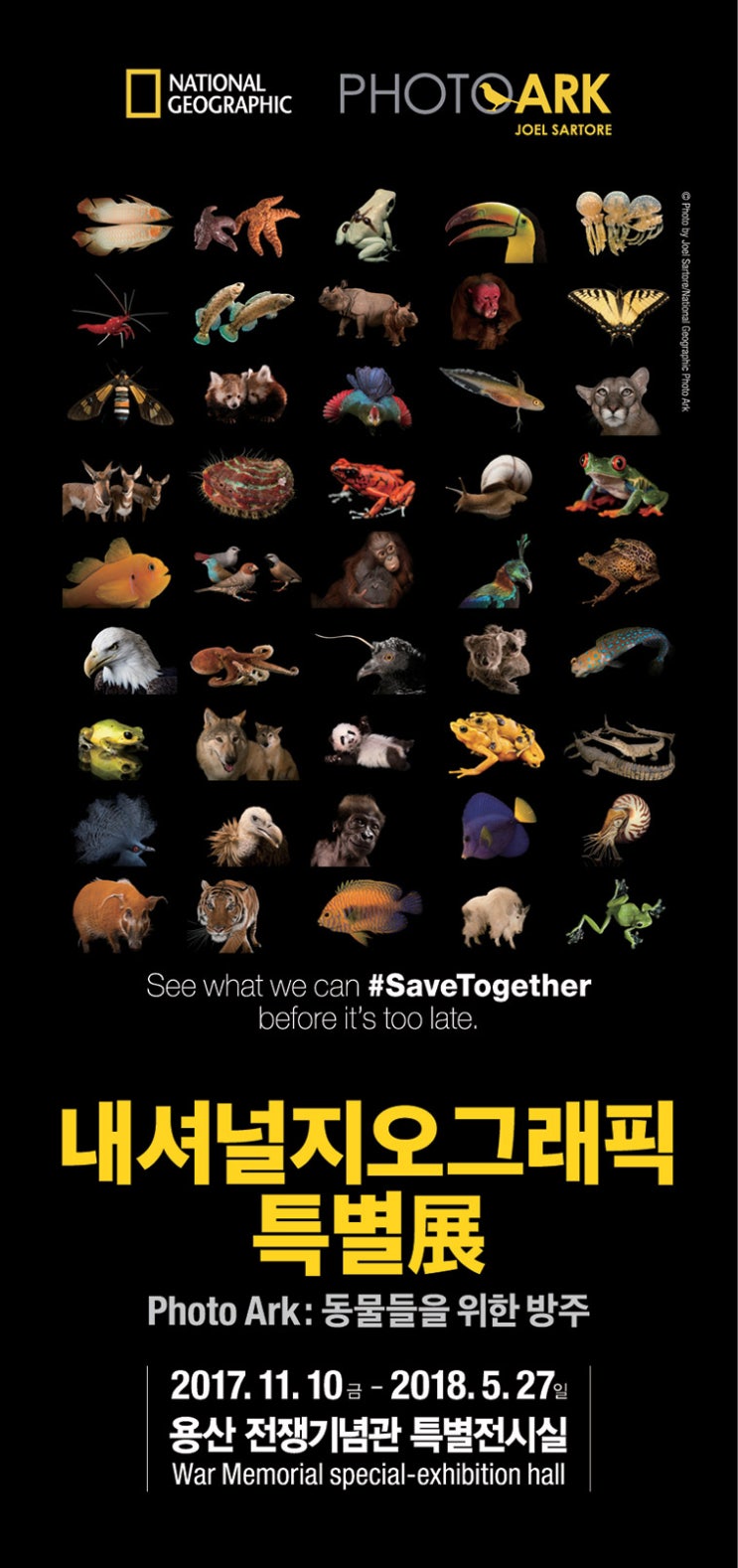 조카와 함께한 "내셔널 지오그래픽 특별전" 조카와 함께한 "내셔널 지오그래픽 특별전"