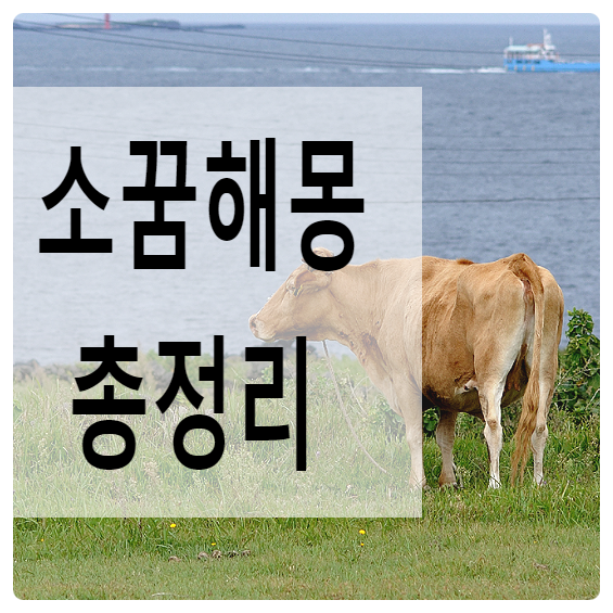소가 달려오는 꿈, 소를보는 꿈 해몽정리 : 네이버 블로그