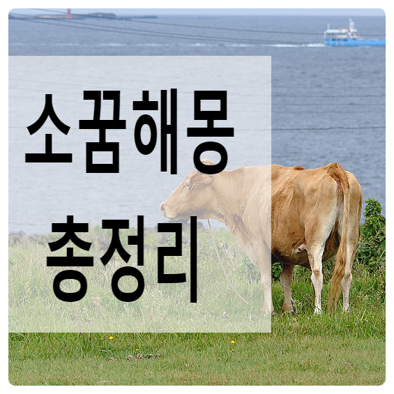 소가 달려오는 꿈, 소를보는 꿈 해몽정리 : 네이버 블로그 소가 달려오는 꿈, 소를보는 꿈 해몽정리 : 네이버 블로그