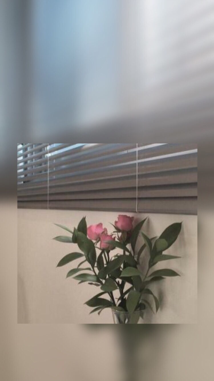 아이폰배경화면 35 텀블러 심플 : 네이버 블로그, image size:750x1334