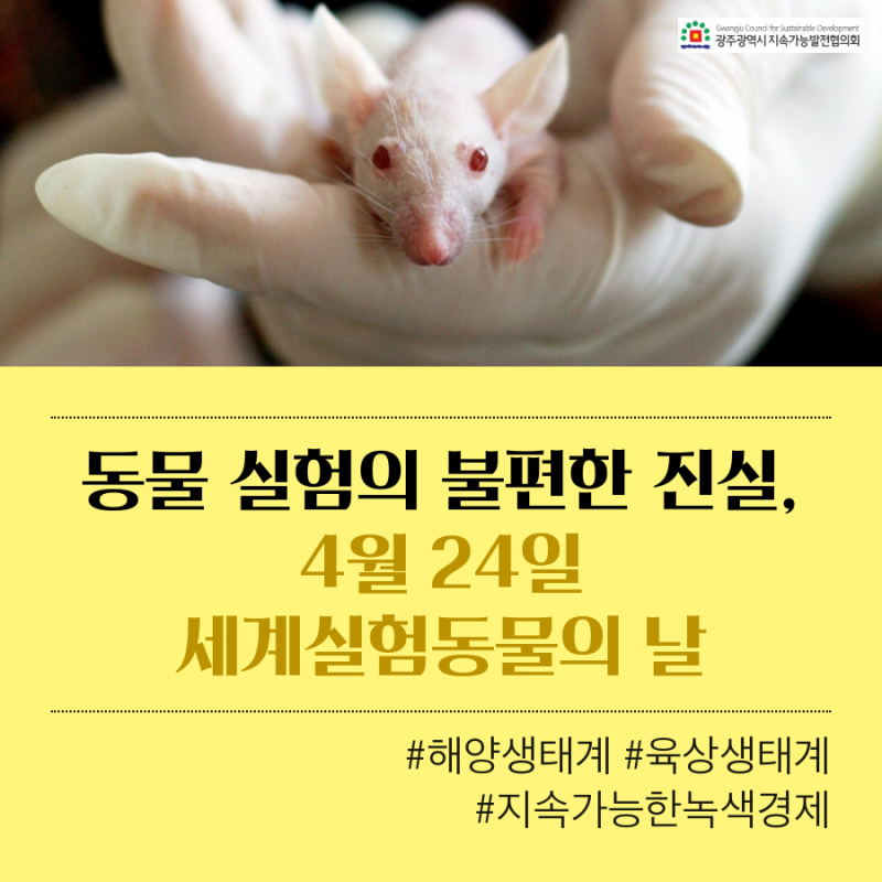 생태계] 동물 실험의 불편한 진실,4월 24일 세계실험동물의 날 : 네이버 블로그