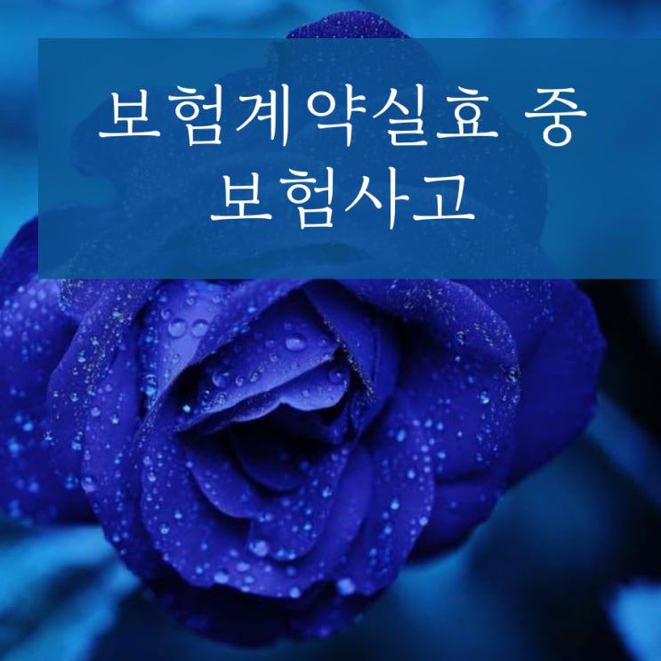  보험료미납으로 인한 보험계약실효 중 발생한 사망사고에 대하여 부부손해사정사는 보험금지급을 받았습니다.