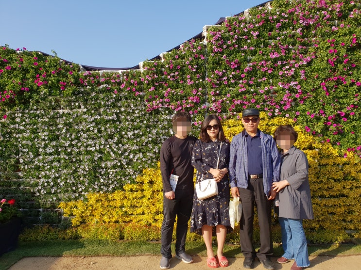 20180430 일상  에브리타운 + 딸기청만들기 + 이천도자기축제