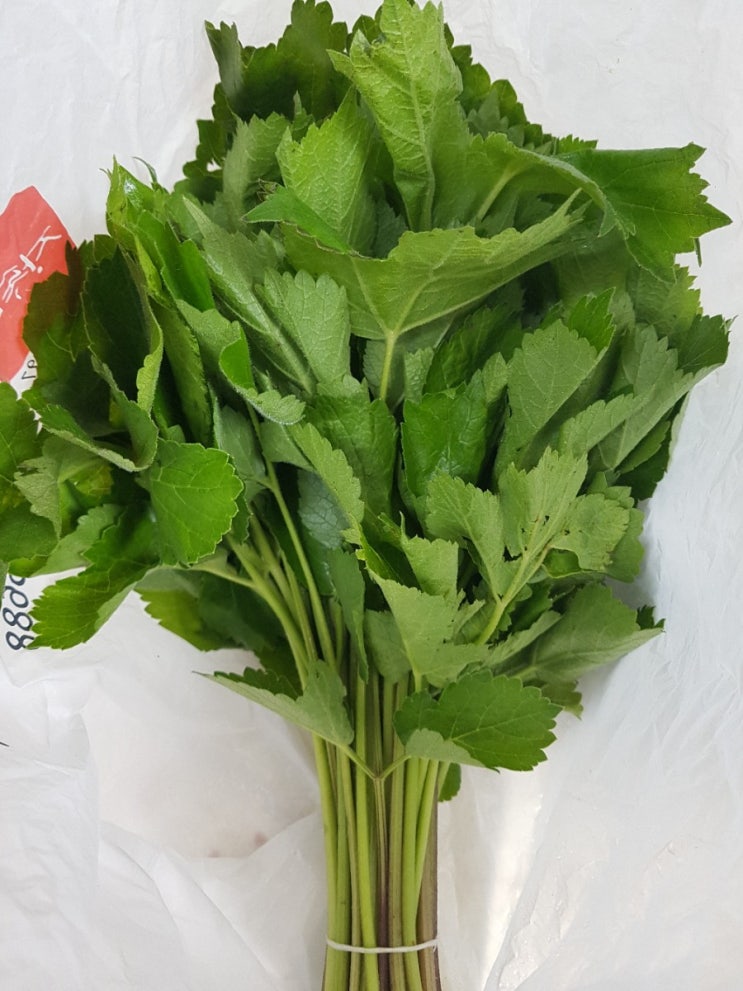  산삼이님 산나물이 나에게 오다~ 감사합니다~^^